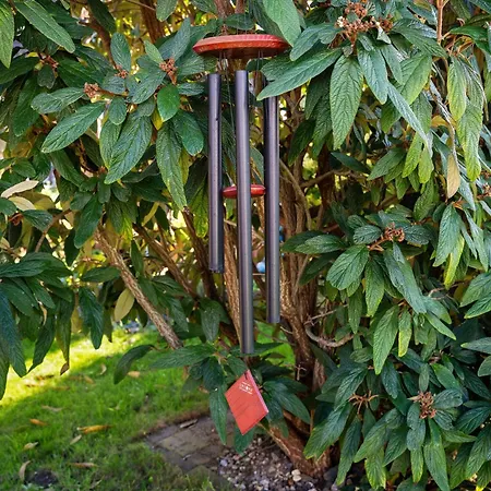 Ferienbungalow Meerjungfrau Ueckermünde